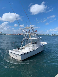 Casting lines in West Palm Beach